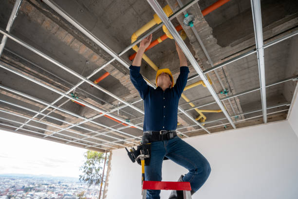Best Affordable Plumbing Services  in Roselawn, IN