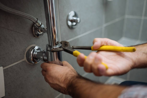 Best Septic Systems  in Roselawn, IN
