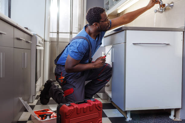 Best Affordable Plumber Near Me  in Roselawn, IN