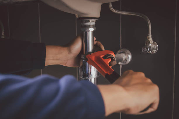 Best Plumbing Inspection Services  in Roselawn, IN