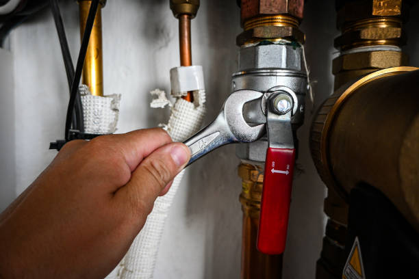 Best Boilers & Radiators  in Roselawn, IN